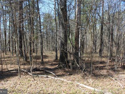 109 Pine Tree Dr, Newville, PA, 17241