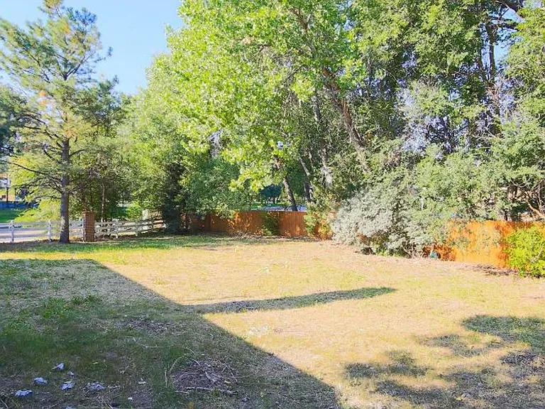 2910 Rolling Wood Loop — Photo 15