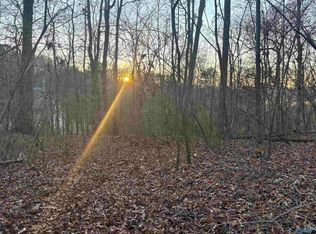 4 Snodgrass Rd #5, Scottsboro, AL 35769