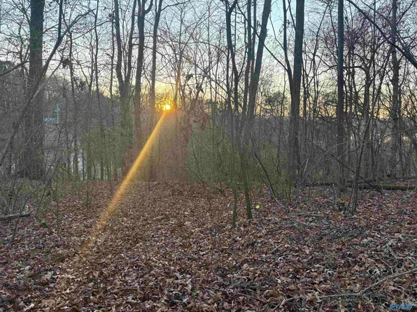 4 Snodgrass Rd #5, Scottsboro, AL 35769