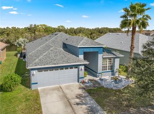 8736 Sandy Plains Dr, Riverview, FL 33578