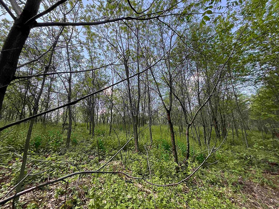 1st image of LOT 22 Fur Dr
