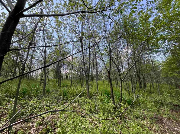 LOT 22 Fur Dr, Oxford, WI 53952