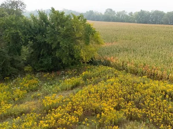 LOT 2 Goat Back Rd, Pepin, WI 54759