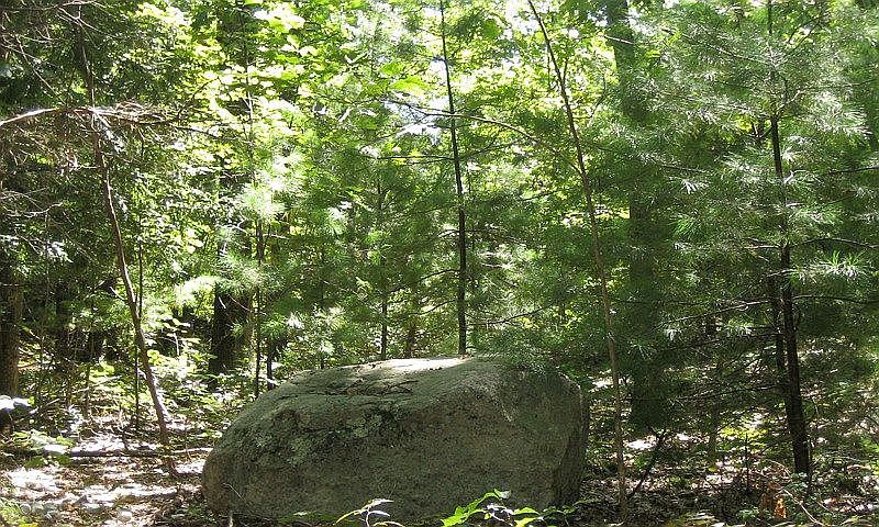 1st image of Nepale Dr