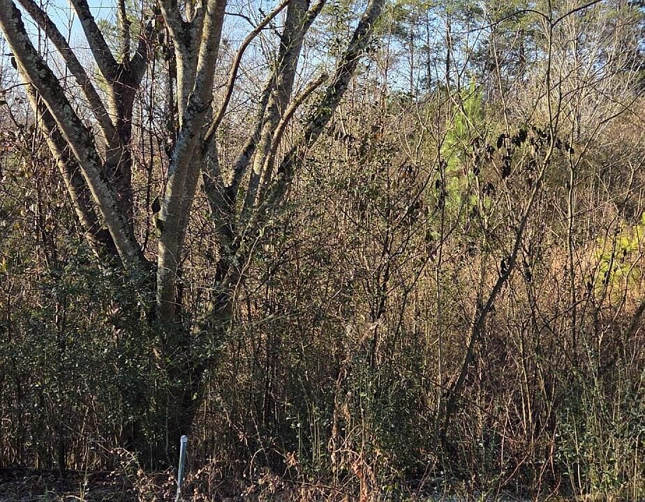 1st image of LOT 3 Sugar Maple Ct