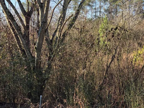 LOT 3 Sugar Maple Ct, Madisonville, TN 37354
