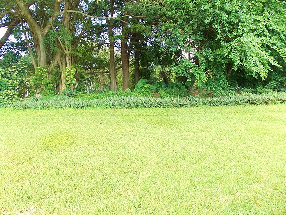 Backyard View The Berm