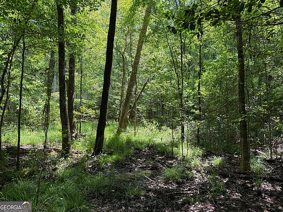 5th image of 11 Long Branch Rd