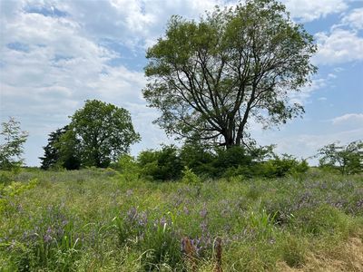 2255 County Road 4225, Enloe, TX, 75441