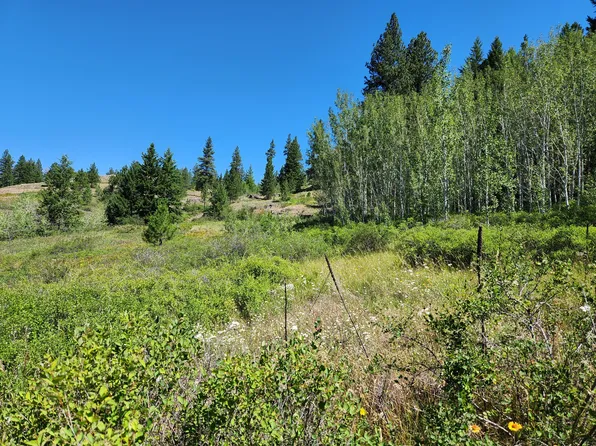 18 Robin Rd, Republic, WA 99166
