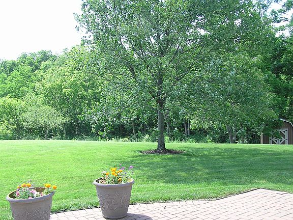Gorgeous Natural Views