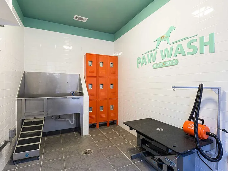 Paw Wash