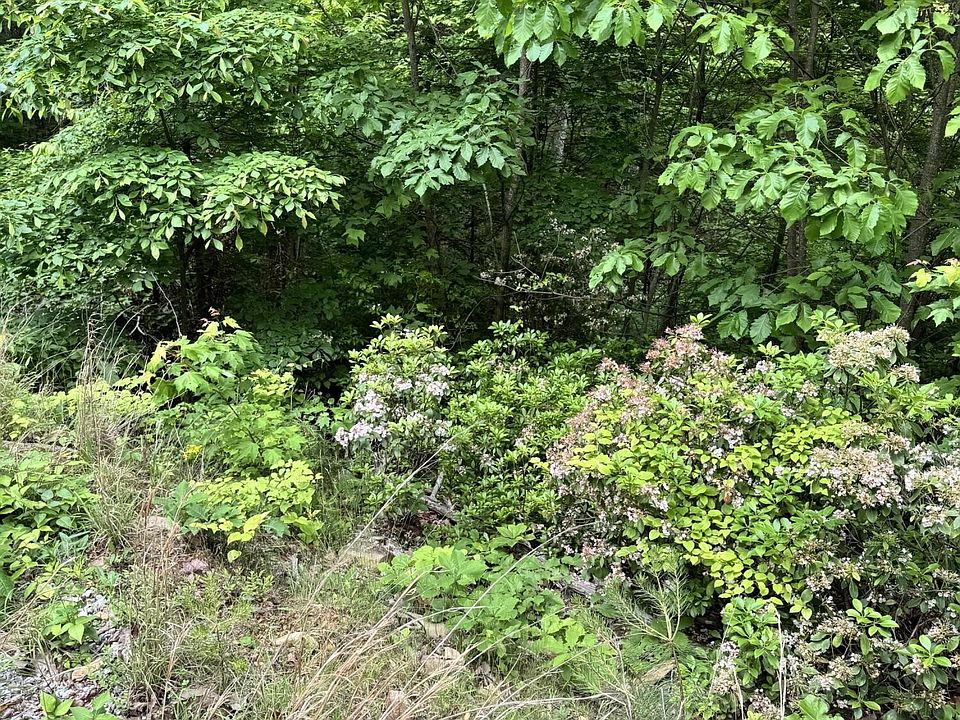 1st image of 0 Goose Creek Rd Lot 2