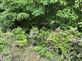 0 Goose Creek Rd LOT 2, Seymour, TN 37865