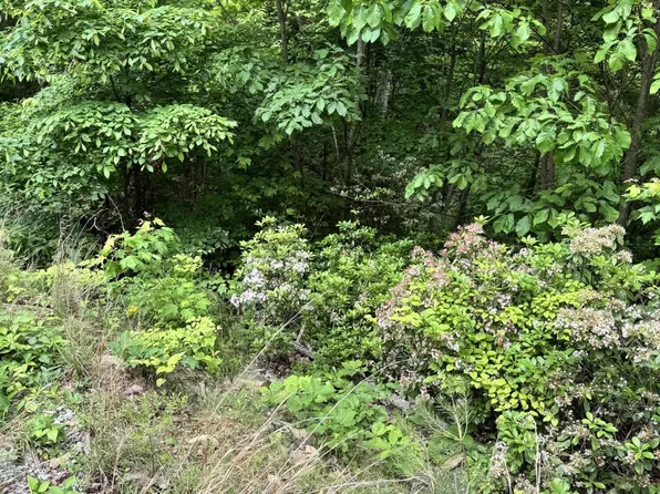 0 Goose Creek Rd Lot 2, Seymour, TN 37865