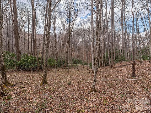 3rd image of 0 Norton Fork Rd