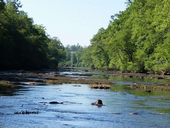 3rd image of 3867 County Road 49 #0