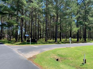 40 Lake Arbu Dr, Manning, SC 29102