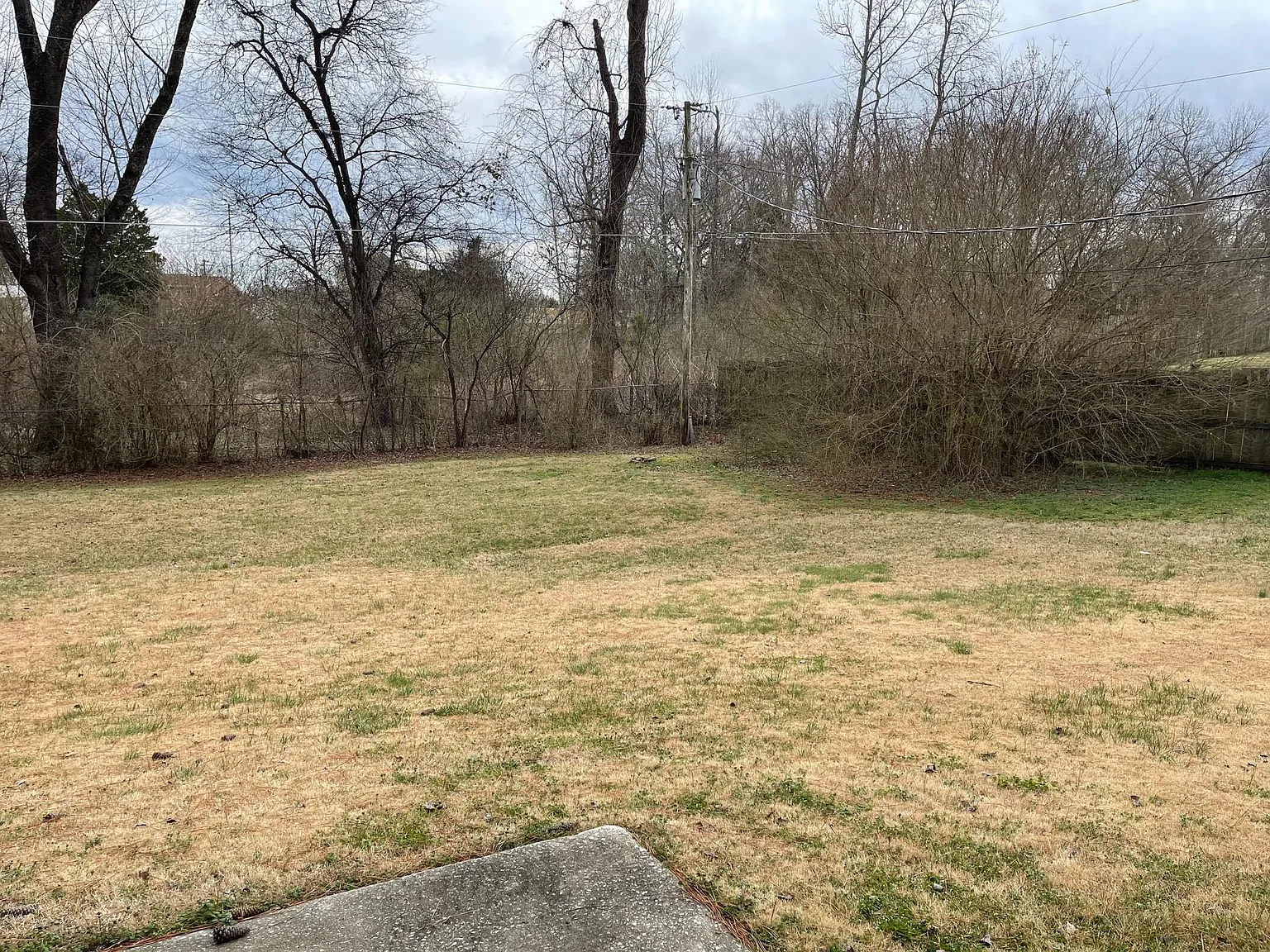 3 bed, 1630 sqft, $1,800 — Photo 4