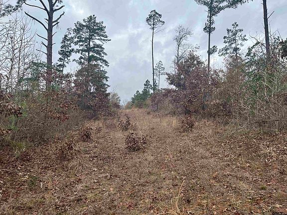5th image of County Road 4625