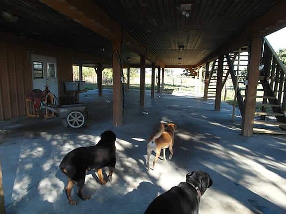 Lower level carport:patio
