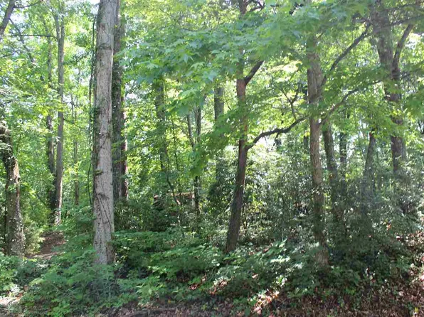 1712 Butter St, Landrum, SC 29356