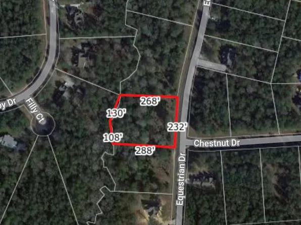 17837 Equestrian Dr, Waller, TX 77484