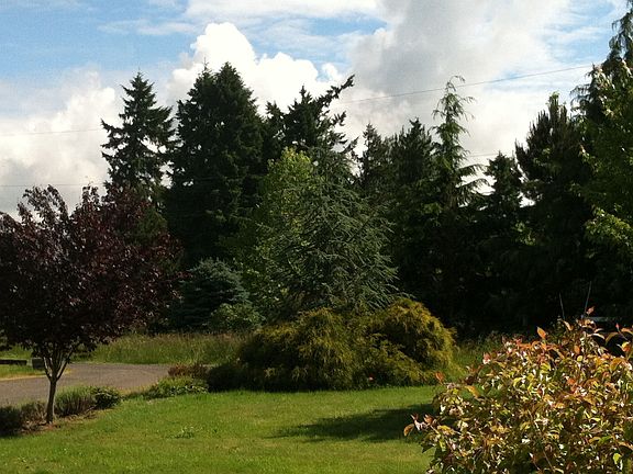 View from front porch