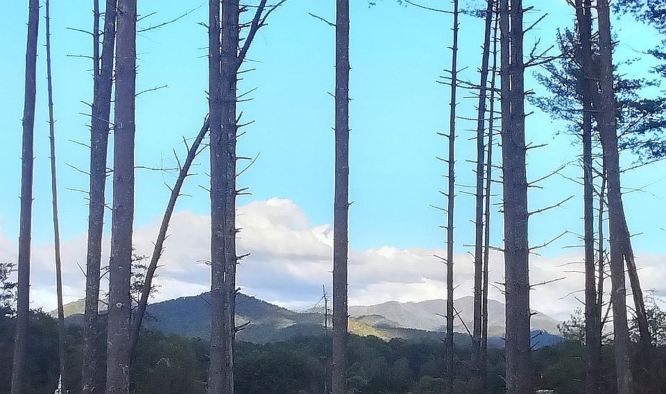 Long Range Mountain Views 