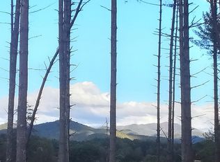 143 Elkins Branch Rd, Weaverville, NC 28787