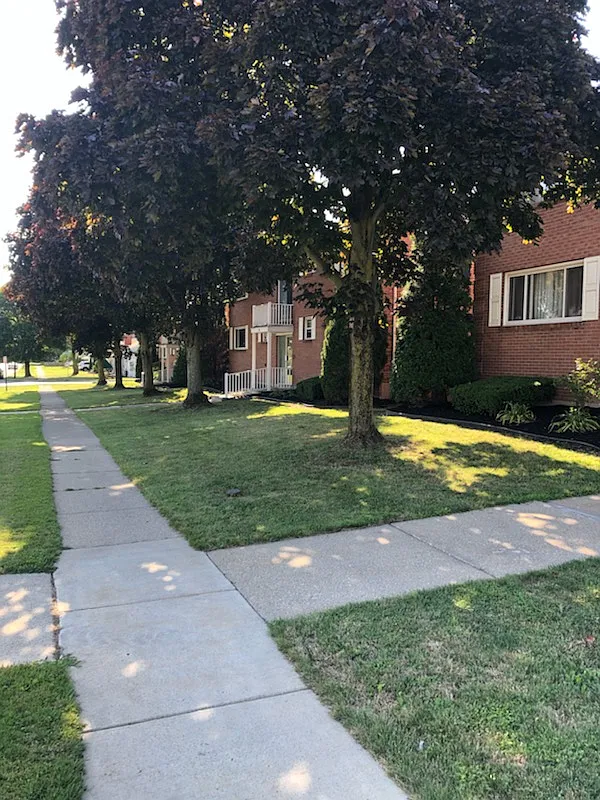 2 bed, 800 sqft, $1,100 — Photo 1