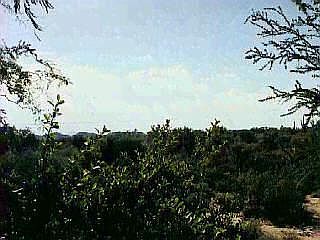 5th image of 9401 N Albatross Dr #0