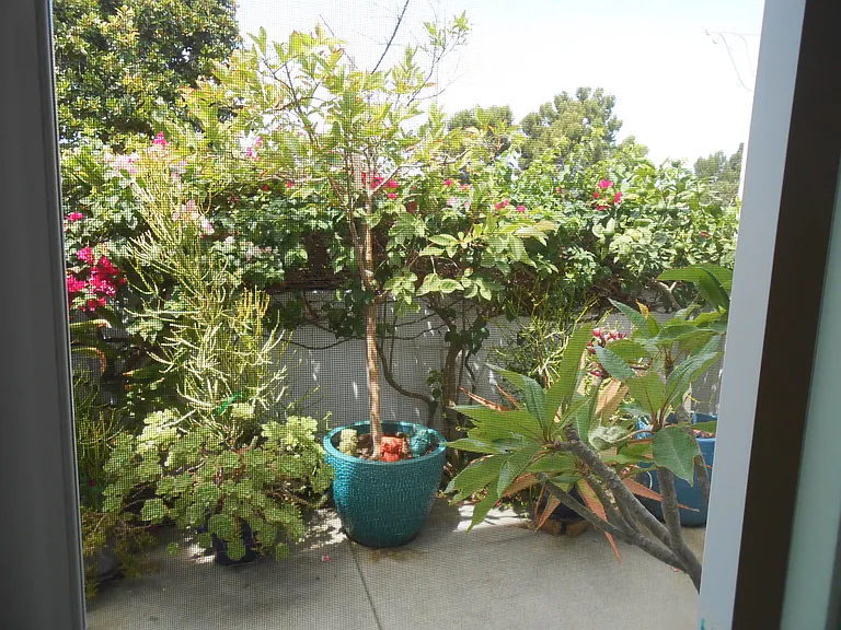 6859 Carnation Dr — Photo 9