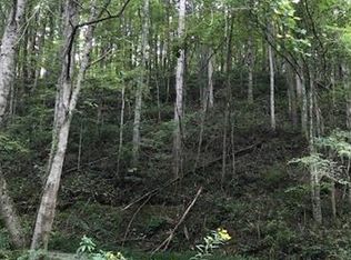 658 Frozenhead Ridge Rd, Sugar Grove, NC 28679