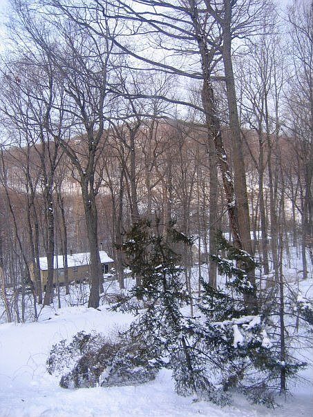 Winter view from rear deck