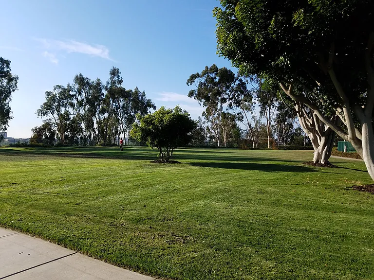Community field and picnic area