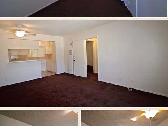 Living Room / Kitchen