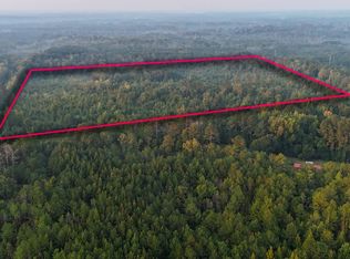 254 Putnam Rd, Pickens, MS 39146