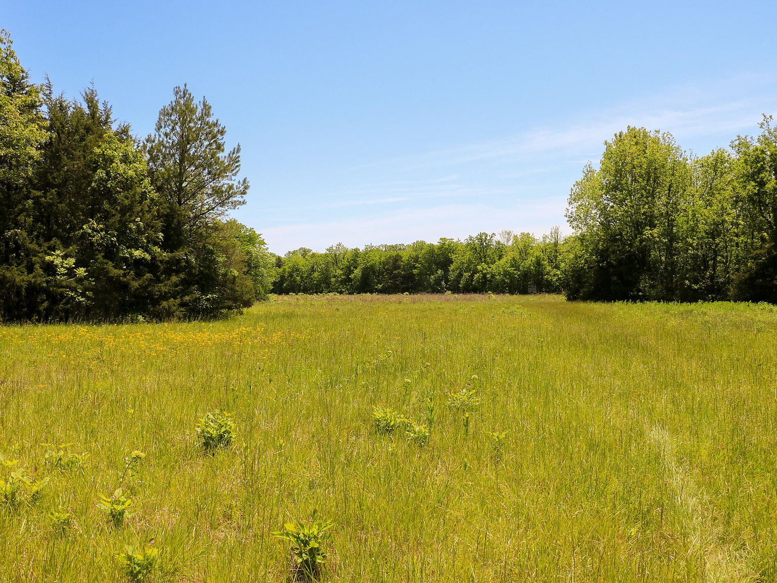 0 Swedenburg Rd, Crawford, MS 39743 MLS 23211 Zillow