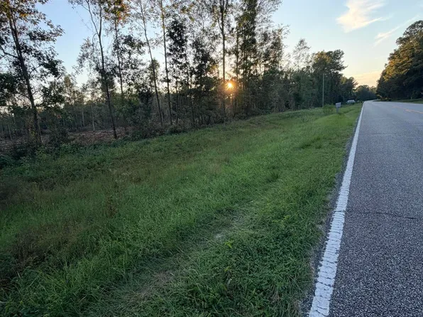0 State Highway 251, Darien, GA 31305