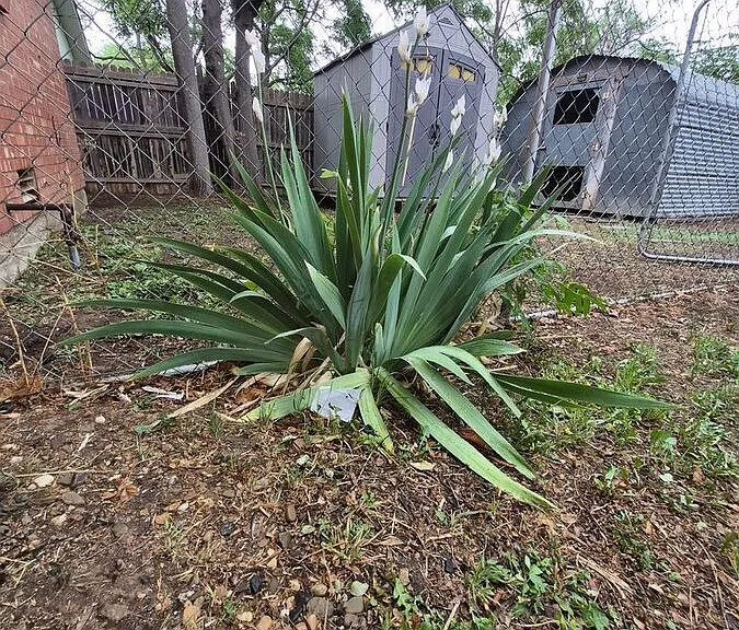 3719 Julie Dr — Photo 6