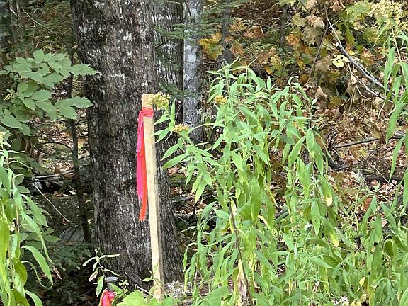 4th image of 0 Crane Mt Road Lot # 2