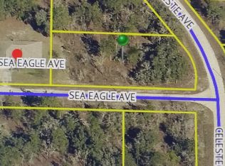 Celeste Ave, Weeki Wachee, FL 34614