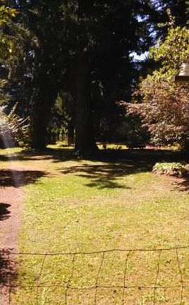 4th image of 22 Leslie Ln