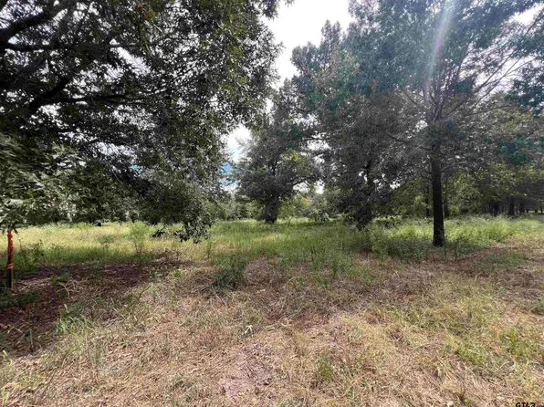 County Road 422, Lindale, TX 75771