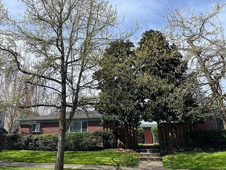 5509 NE 29th Ave — Photo 6