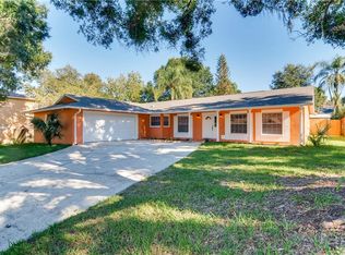 23238 Chelsea Loop, Land O Lakes, FL 34639