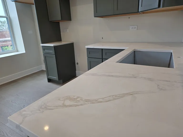 3216 S Morgan St #2F — Photo 7