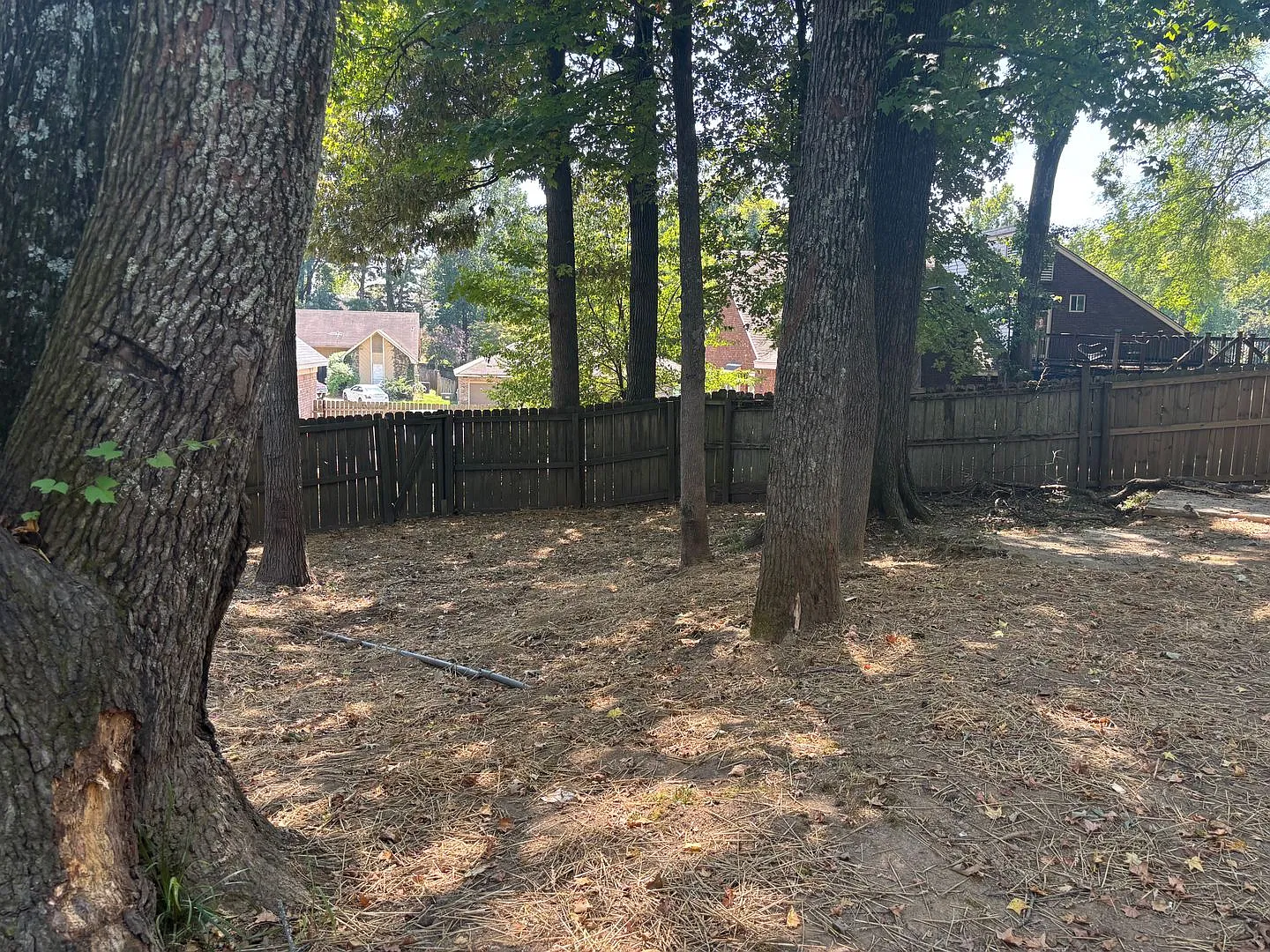 Welcome to 4311 Hunt Cliff Trace! — Photo 4